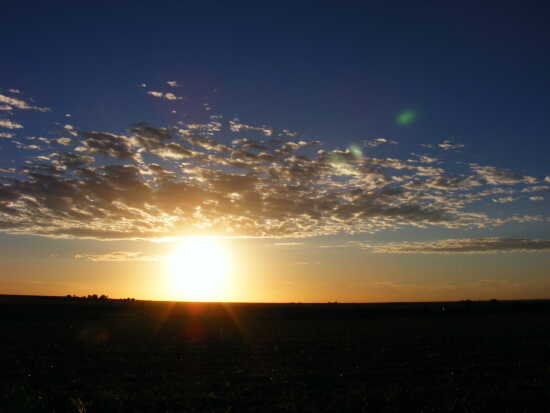 (Photo)