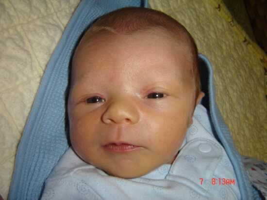 (Photo)