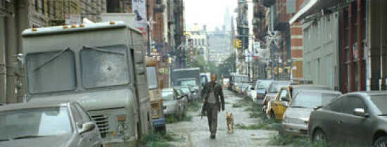 (Photo)