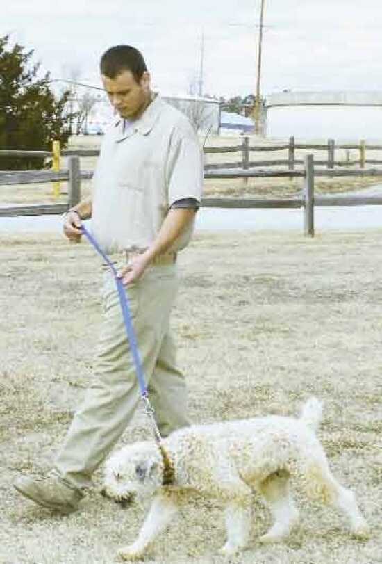 (Photo)