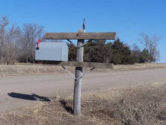 (Photo)