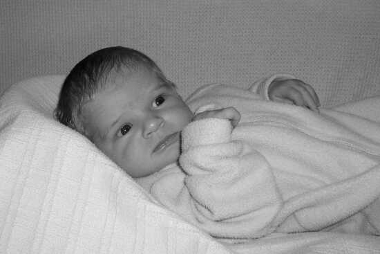 (Photo)
