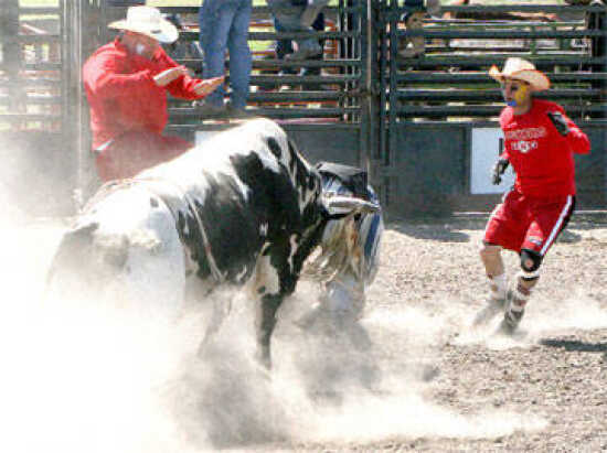 (Photo)