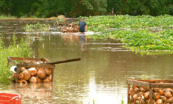 (Photo)