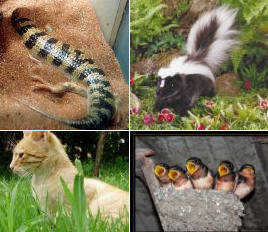 (Photo)