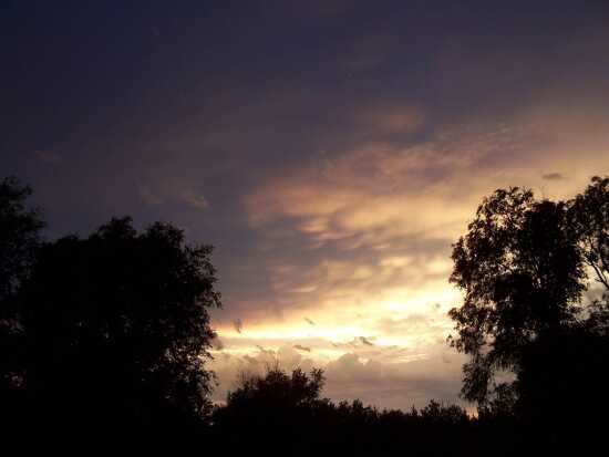 (Photo)