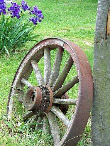 (Photo)