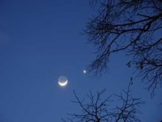 (Photo)