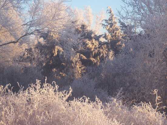 (Photo)