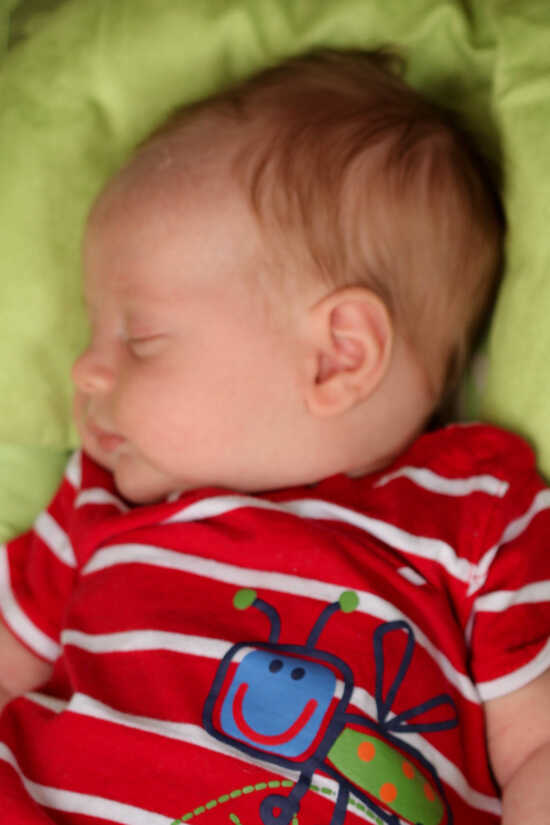 (Photo)