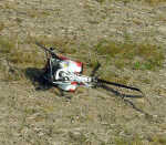 (Photo)