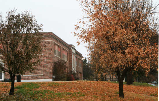 (Photo)