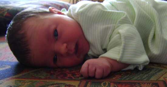 (Photo)