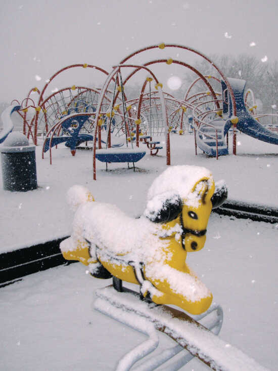 (Photo)