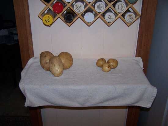 (Photo)