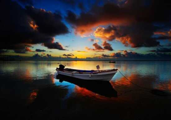 (Photo)