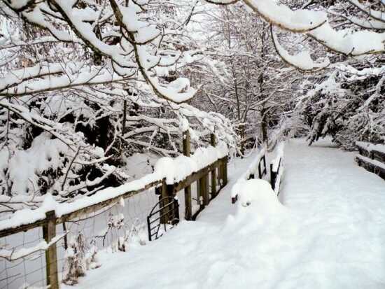 Cowboy Poems For Funerals. Adying funerals classics stirlands poemsjan Cowboy Poems For Funerals. Adying funerals classics stirlands poemsjan