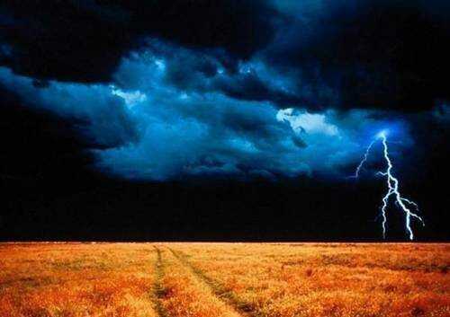 (Photo)