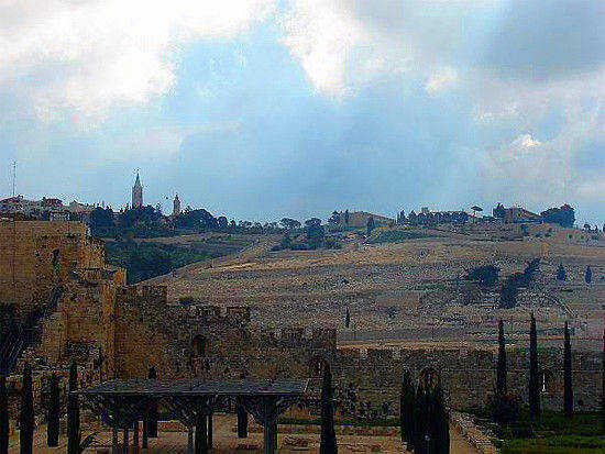 (Photo)