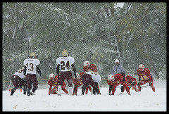 (Photo)