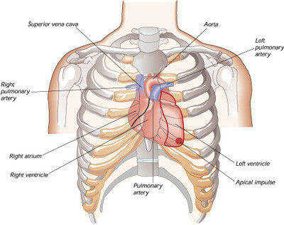 (Photo)