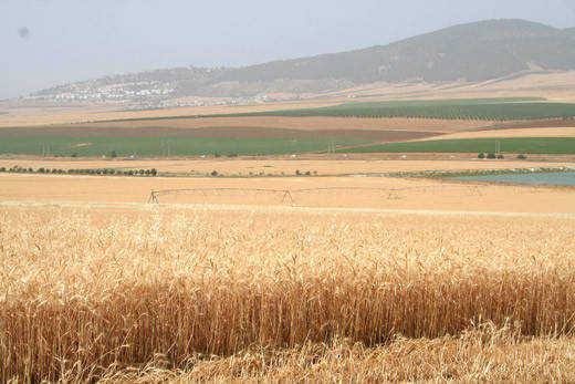 (Photo)