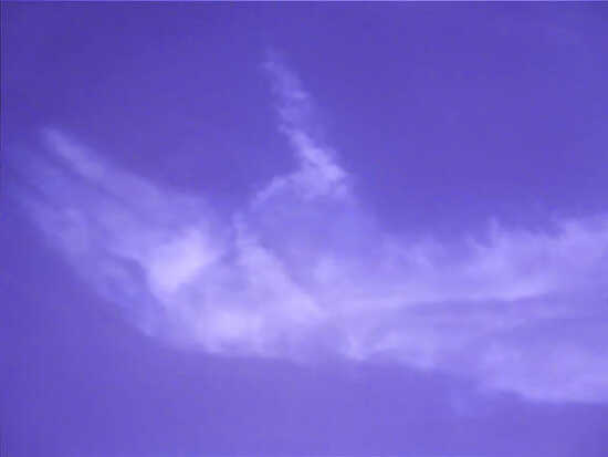(Photo)