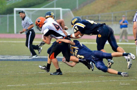 (Photo)