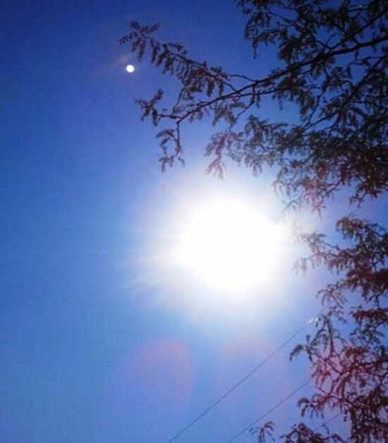(Photo)