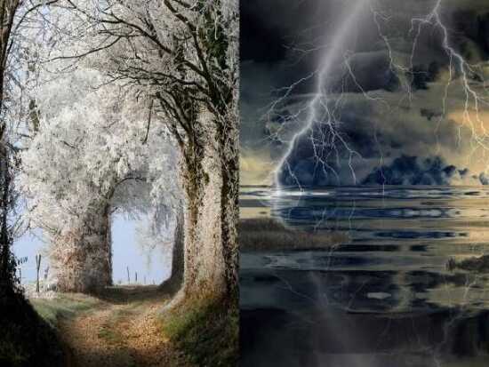 (Photo)