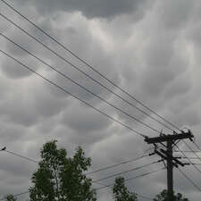 (Photo)