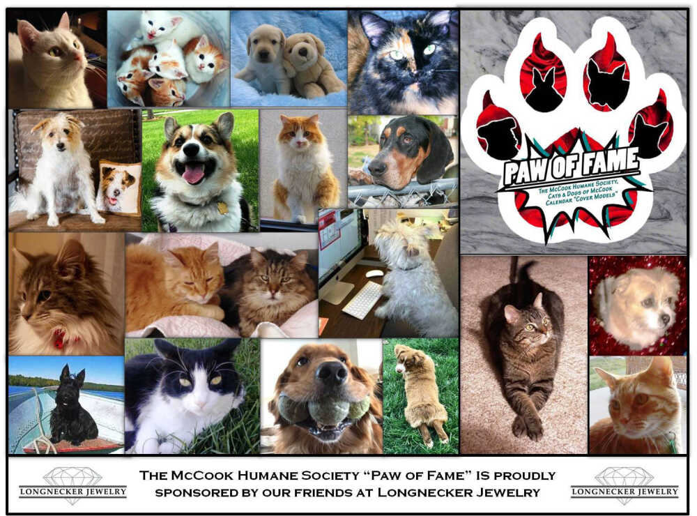 Community News: Which cat or dog will be new 'Paw of Fame' winners?  (9/16/21) | McCook Gazette